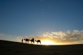 Camel trekking, Erg Chebbi, Merzouga, Morocco